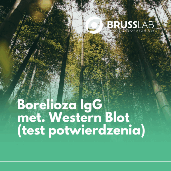 P003 Borelioza IgG met. Western Blot (test potwierdzenia)
