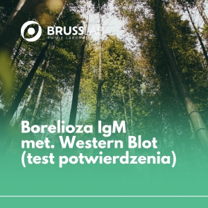 P003(2) Borelioza IgM met. Western Blot  (test potwierdzenia)