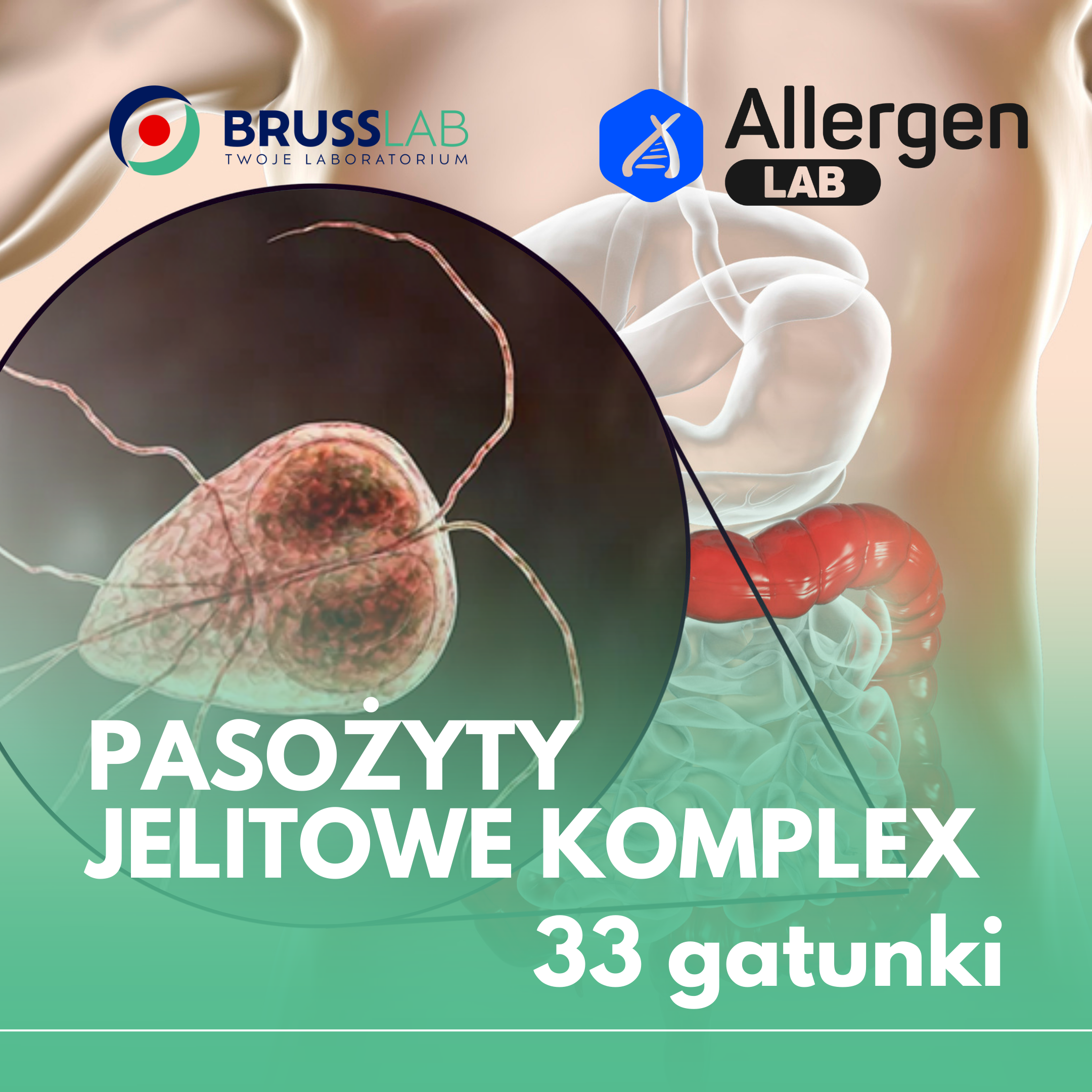 PASOŻYTY JELITOWE KOMPLEKS – 33 gatunki
